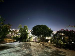 an empty road with trees on the side of it at Jerash Canopy in Jerash