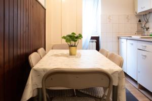a table in a kitchen with a plant on it at Srebrnjak Apartment - a Touch Faded, but Classic in Zagreb +10 photos