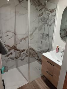 a bathroom with a shower and a sink at Red carpet - Townhouse, 2 bedrooms, 2 bathrooms in Saint-Marcel