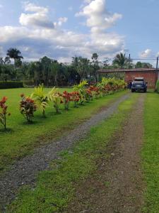 a dirt road next to a field with plants at Quinta El Futuro in Esperanza +1 photo