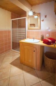a bathroom with a sink and a shower at Chalet la Lauzette in Bessans