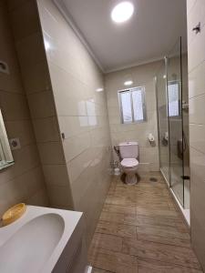a bathroom with a toilet and a sink and a shower at El Atelier in Alcalá de Henares
