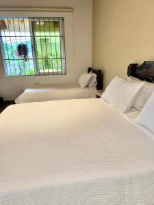 Fotografie z fotogalerie ubytování CASA HOSTAL VILLA CAROLINA - Pueblo Bello v destinaci Pueblo Bello