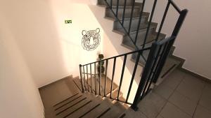 an overhead view of a stairway with a dog at Gardunha Apartments Avenida I in Fundão +23 photos