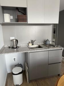 a small kitchen with a sink and a counter at Mono 611 in Neuquén