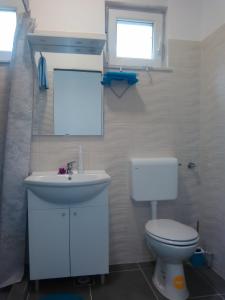 a bathroom with a white toilet and a sink at Apartment Julie 4 in Rijeka