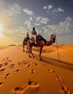 Επισκέπτες που μένουν στο Sahara Bedouin camp