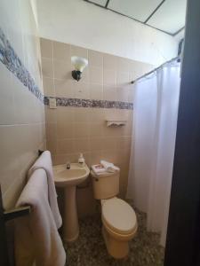 un baño con inodoro y lavabo en Gran Bonanza Hotel, en Alegría