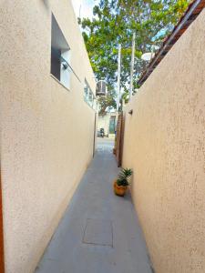 un couloir d'un immeuble avec une plante à côté dans l'établissement Flat Centro de Buzios, à Búzios