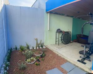 a patio with cactuses and plants next to a wall at Casa Azul in Camaçari