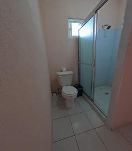 une salle de bain avec toilettes et douche en verre dans l'établissement Hotel Melyvan, à San Carlos