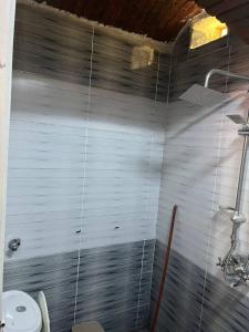 a bathroom with a shower and a toilet at Hamd Nubian Guest House in Aswan