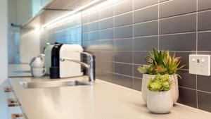 a bathroom with a sink and two plants on a counter at Surf N Turf in Kiama