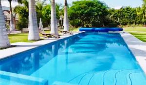 a swimming pool with blue water and palm trees at Hotel Finca San José in Teotlalco