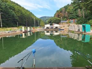 Blick auf ein Gewässer mit Bäumen in der Unterkunft Chuncheon Cracra Pension in Madang-gol