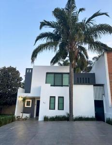 un palmier devant un bâtiment blanc dans l'établissement Casa Altozano Confort, à Morelia