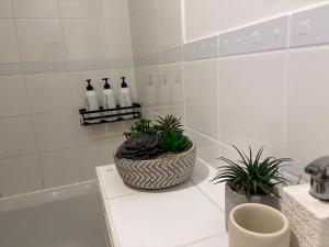 three potted plants sitting on a counter in a bathroom at Lovely Room with a view & Parking nr Hampton Court in West Molesey
