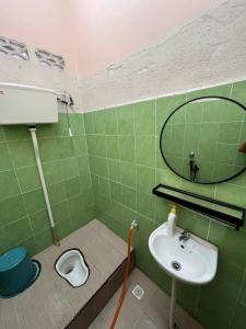 a green bathroom with a sink and a mirror at Teratak Tuan Homestay in Gua Sai