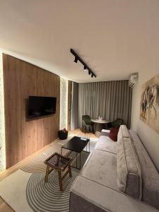 a living room with a couch and a tv on a wall at Belgrade Nest in Belgrade