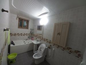a bathroom with a toilet and a sink at 꽃이피다 in Kulchŏn +2 photos
