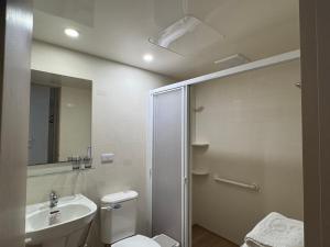 安平区にある樸寓國際青年旅舍のトイレ、洗面台、シャワー付きのバスルーム