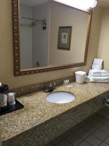 La salle de bains est pourvue d'un lavabo et d'un miroir. dans l'établissement Holiday Inn Lumberton, an IHG Hotel, à Lumberton