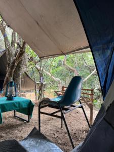 ベリハロヤにあるWild Paradise Camp Belihuloyaのテント内の椅子とテーブル