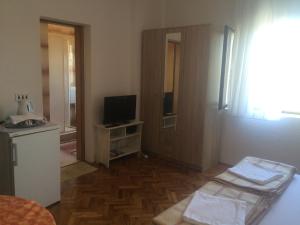 TV a/nebo společenská místnost v ubytování Apartments Radulović