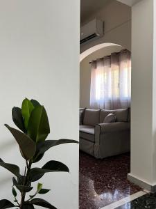 a living room with a couch and a plant at The Book Shelter in Chalkida +7 photos