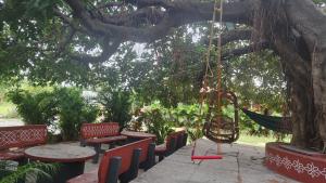 Una hamaca colgada de un árbol con mesas y bancos. en RoHans FarmStay and Events, en Wangāpalli