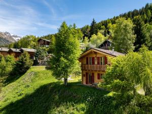 a house on a hill with a tree in the yard at Chalet Brunello in La Tzoumaz