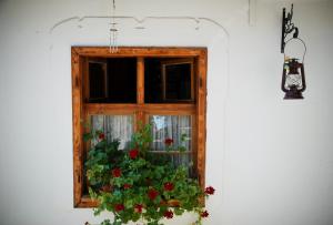 Ảnh trong thư viện ảnh của Casa Gross ở Cristian