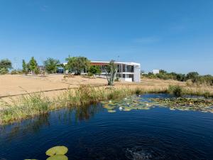 ein Teich mit Seerosen vor einem Haus in der Unterkunft Casas do Moinho, Alentejo Country House in Santa Margarida da Serra