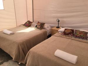 Cama ou camas em um quarto em Ecocamp Huacachina