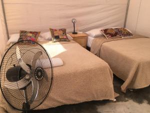 Cama ou camas em um quarto em Ecocamp Huacachina