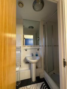 a bathroom with a sink and a shower at Modern flat in Southampton +8 photos