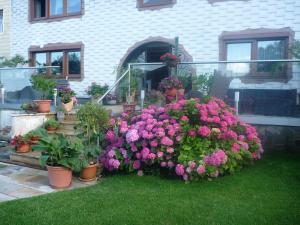 A garden outside Haus Regina