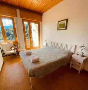 a bedroom with a large bed in a room with windows at Casa DaRin in Vigo di Cadore