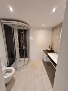 a bathroom with a shower and a toilet and a sink at Appartement Herbaijum in Herbaijum