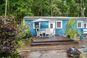 德兰斯克Bungalow 'zur Möwe' Bgl 21的一栋蓝色小屋，木质甲板上摆着一张桌子和几把椅子