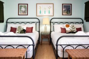 two beds in a room with blue walls at Dyer Lake Gallery Retreat - Lakefront - Deck - Fire Pit in Grawn