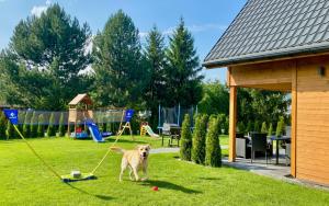 un cane al guinzaglio in un cortile con un parco giochi di Dream Home Pet-Friendly - Ogród 600m2, Las 10min a Polanica-Zdrój