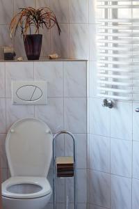 a bathroom with a toilet and a plant at Chata Góralska Aggeusz in Wisła