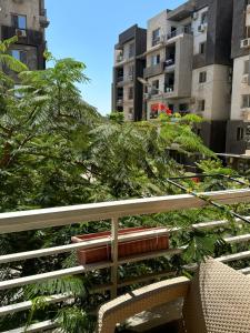 Um jardim em Five mins to Arkan&Zed