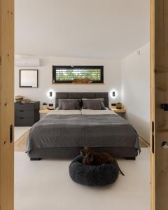 Un dormitorio con una cama y un gato acostado en un cuenco. en Danube Cottage, en Komárno