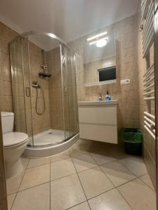 a bathroom with a shower and a toilet and a sink at Pokoje Gościnne u Grażyny in Ojców