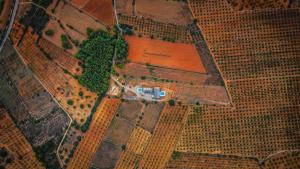 Fotografie z fotogalerie ubytování SpronkenHouse v destinaci Useras