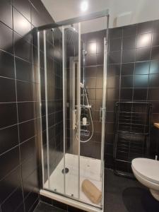 克莱蒙费朗Les Violettes #Parking#Confort的带马桶的浴室里的玻璃淋浴间