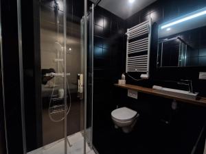 克莱蒙费朗Les Violettes #Parking#Confort的浴室配有马桶和玻璃淋浴房