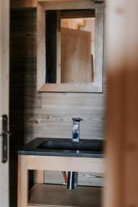 a sink in a bathroom with a mirror at Chalet Salt Lake in La Toussuire